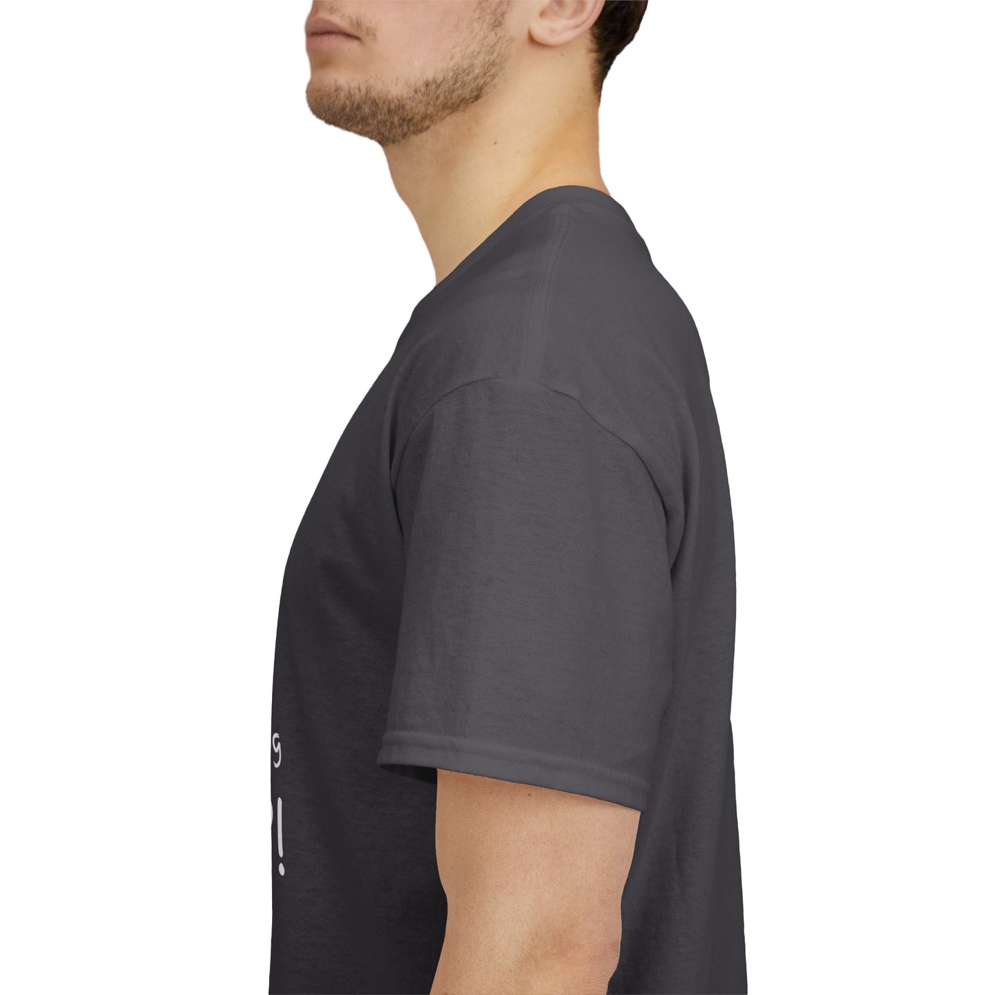 Mood Swing Unisex Heavy Cotton Tee – Perfect for Moments of Indecision!